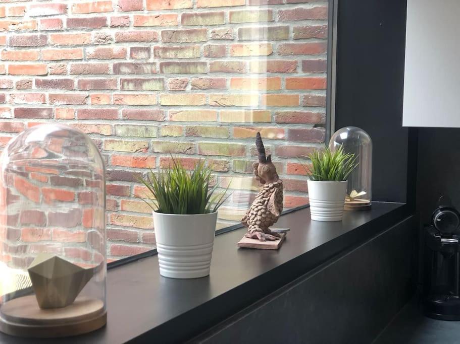 Hedendaags, Verzorgd Op Unieke Locatie Ostende